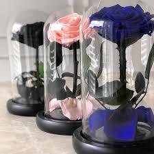 De-Beste-Cadeau-Ideeën-Unieke-Geschenken-voor-Elke-Gelegenheid Enrosed