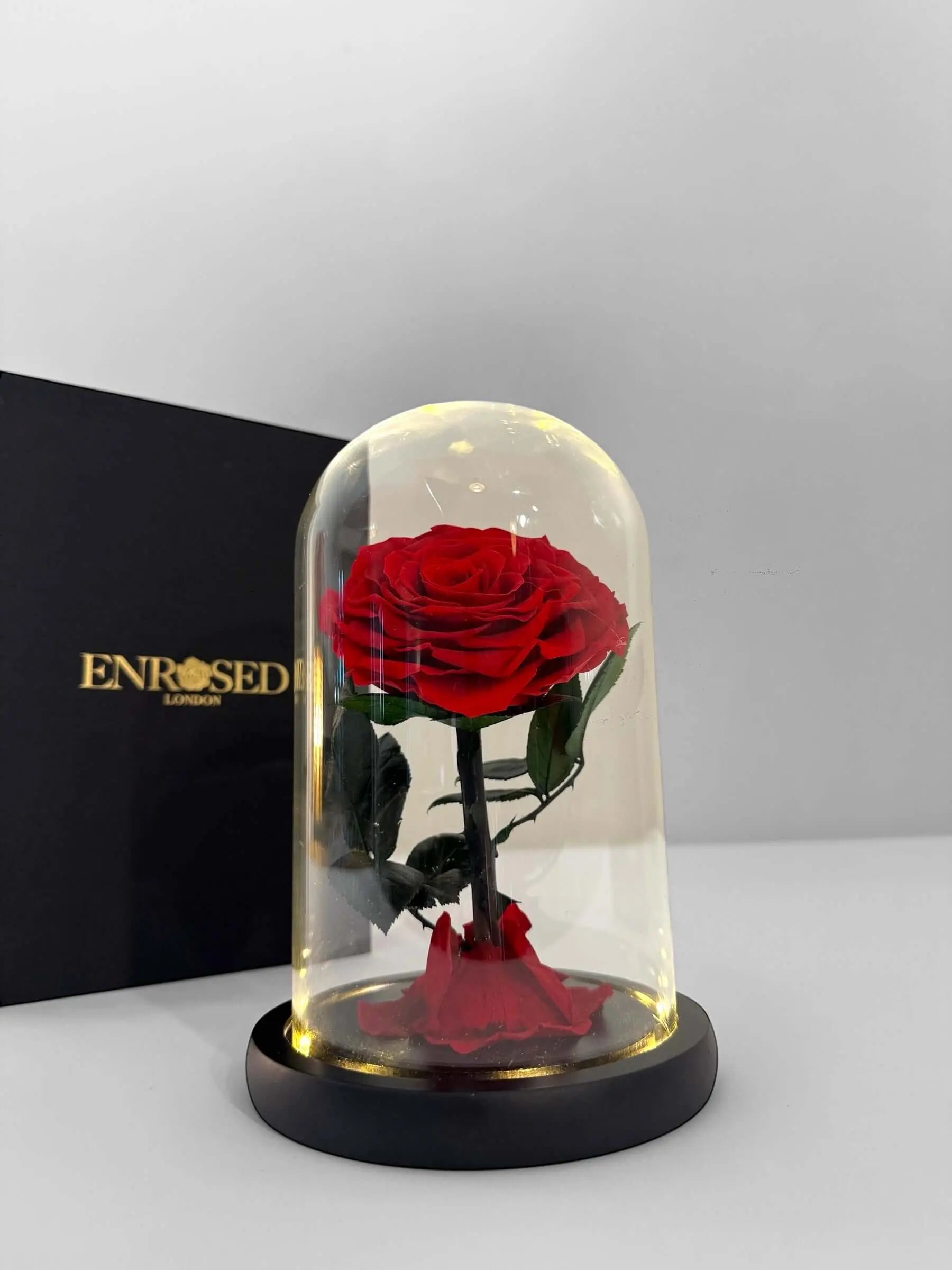 Elegant red rose under glass dome with LED lighting, perfect for home decor or gifts.