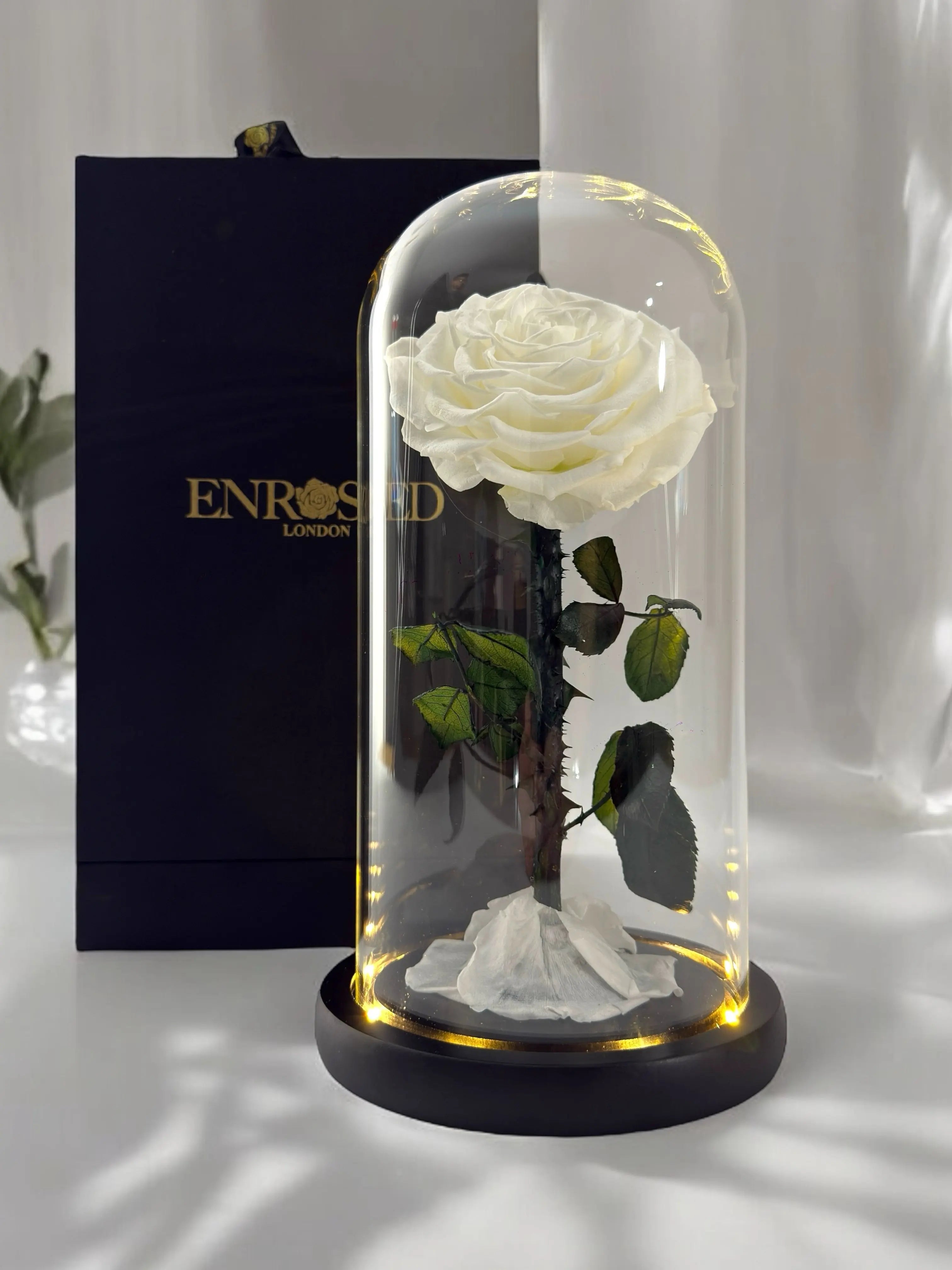 Single Elegance Midi.