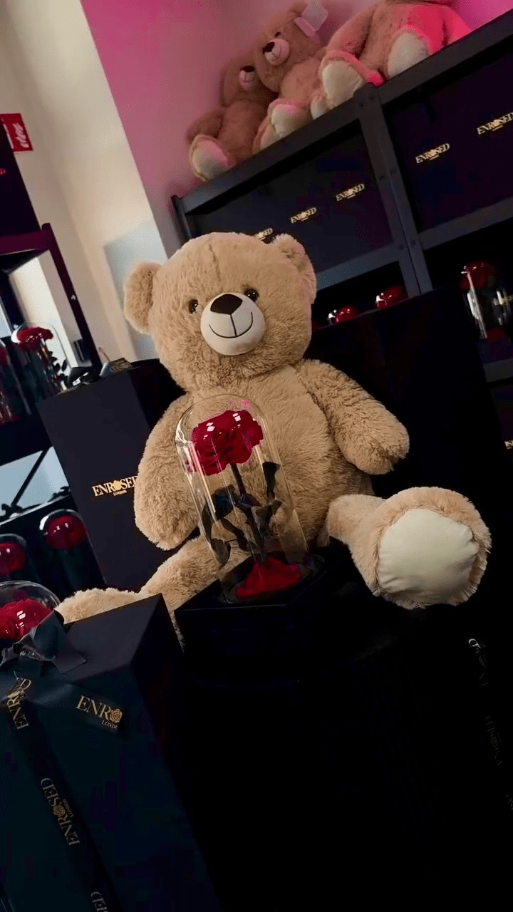 Charger la vidéo: enrosed