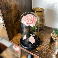 Hoe Kies je het Perfecte Cadeau? Tips en Inspiratie - Enrosed